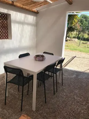 Planimetria di PODERE 31