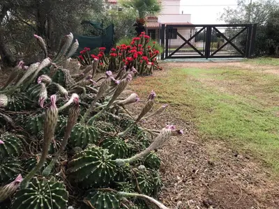 Giardino di PODERE 31