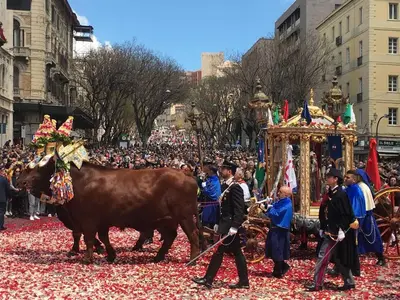 Ospiti di IL TURCHESE