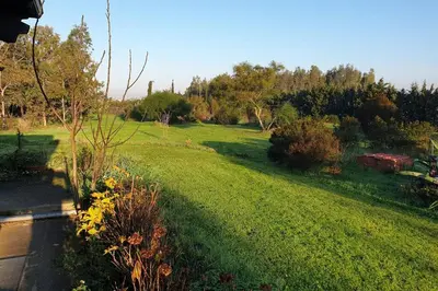 Giardino di Roby's house, vivi la vacanza in relax (2L)