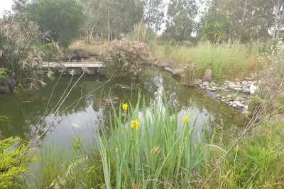 Paesaggio naturale nelle vicinanze dell'appartamento