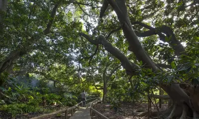 Giardino di Sa Matta - MORADA