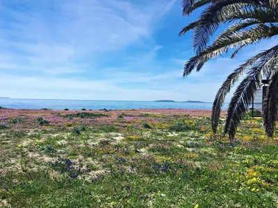 Paesaggio naturale nelle vicinanze dell'affittacamere