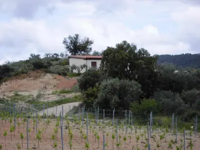 Paesaggio naturale nelle vicinanze dell'appartamento