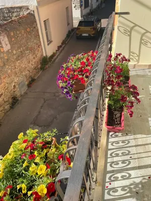 Balcone o terrazza di Il Giglio Affittacamere