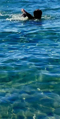 Paesaggio naturale nelle vicinanze dell'affittacamere