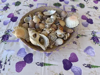 Cibo presso l'appartamento o nelle vicinanze