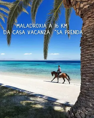 Attività di equitazione presso la casa vacanze o nelle vicinanze