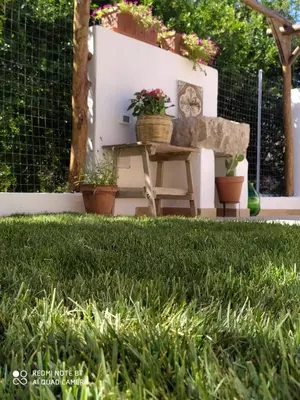 Giardino di Casa Vacanza Sa Prenda