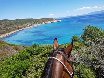Paesaggio naturale nelle vicinanze della casa vacanze