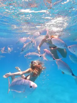 Ospiti di Flamingo Poetto