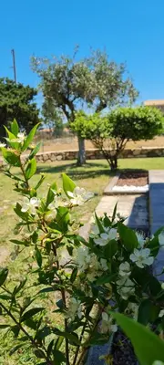 Giardino di House Castiadas tra Mare e Montagna