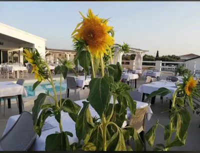 Ristorante o altro punto ristoro di Villa INN