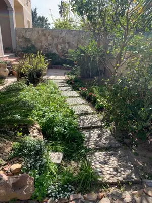 Giardino di B&B Bentu de Mari