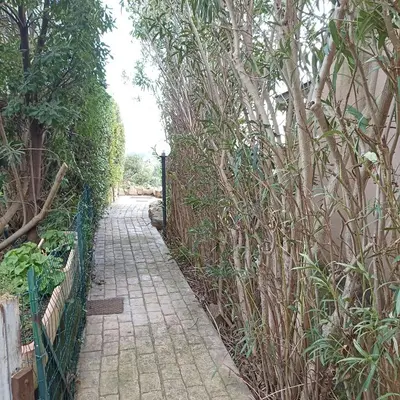 Giardino di ERIKA House Is Molas