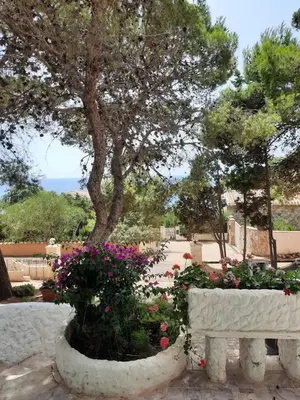 Giardino di Georgia