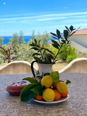 Cibo presso l'appartamento o nelle vicinanze