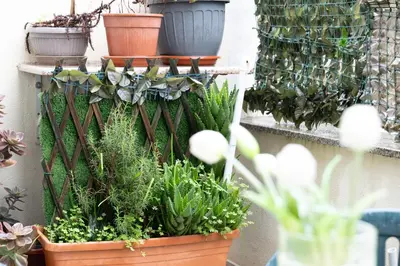 Giardino di Santi's apartment