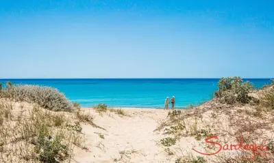 Paesaggio naturale nelle vicinanze della casa vacanze