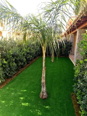 Giardino di Giolet's House