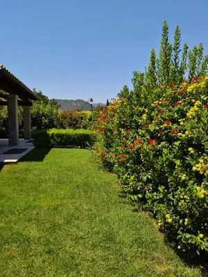 Giardino di Villa Mathias
