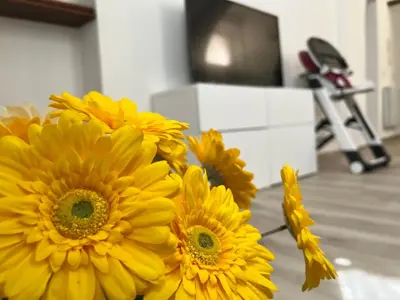 TV o dispositivi per l'intrattenimento presso La casa di Ale nel centro storico di Cagliari