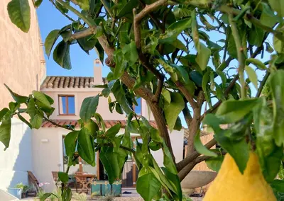 Giardino di Beni benius - Typical restored house in Nurachi
