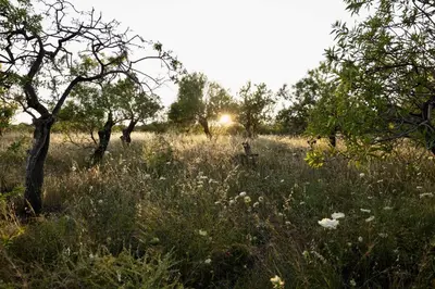 Paesaggio naturale nelle vicinanze dell'hotel