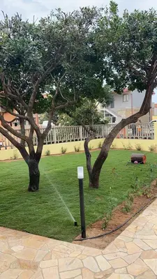 Giardino di B&B Il Sogno di Mario