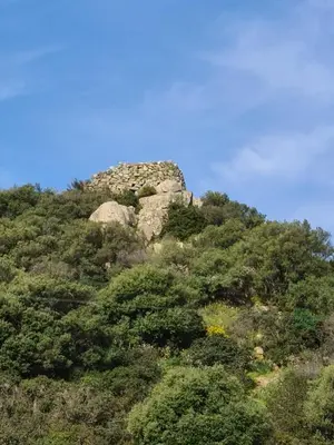 Paesaggio naturale nelle vicinanze dell'appartamento