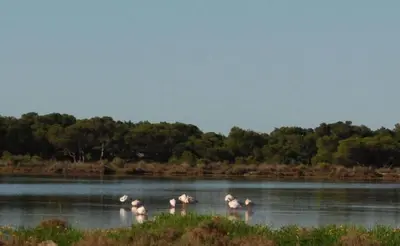 Paesaggio naturale nelle vicinanze della villa