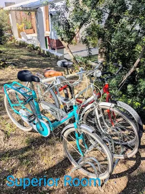 Attività di ciclismo presso l'affittacamere o nelle vicinanze