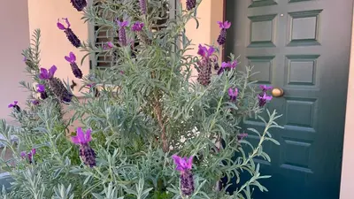 Giardino di A due passi dalla città