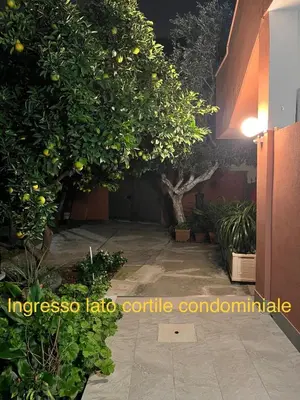 Planimetria di Domus Alice