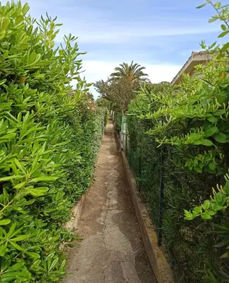 Giardino di Casa Perla Rei - 50 meters from the beach