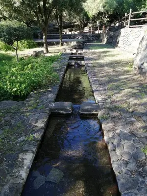 Giardino di Sa Banita affittacamere