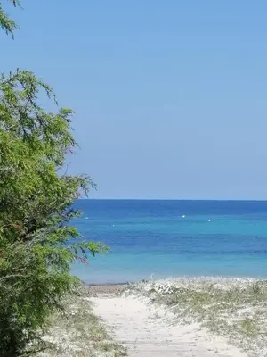 Paesaggio naturale nelle vicinanze dell'affittacamere