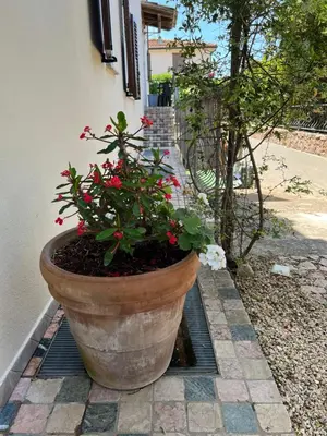 Giardino di L’ESSENZIALE
