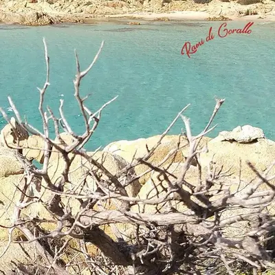 Paesaggio naturale nelle vicinanze dell'appartamento