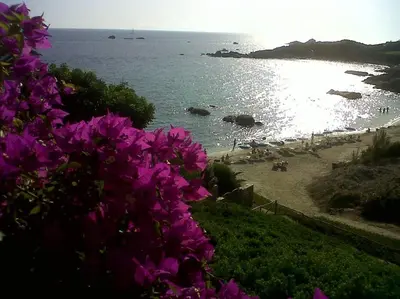 Planimetria di Villa Orchidea