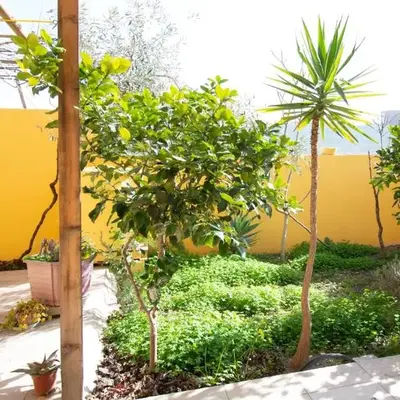 Yellow House-Villetta a due passi dal mare