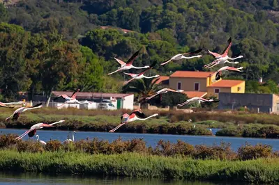 Paesaggio naturale nelle vicinanze del bed & breakfast