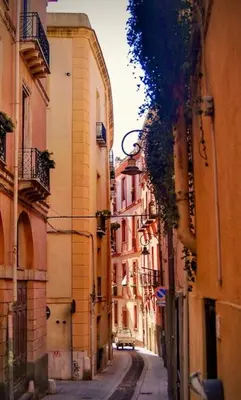 Il quartiere o una zona nella vicinanze dell'appartamento