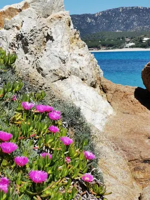 Paesaggio naturale nelle vicinanze della casa vacanze
