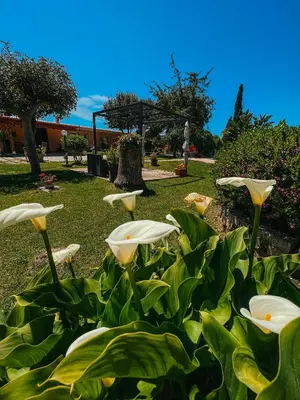 Giardino di Tra Terra e Mare