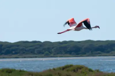 Paesaggio naturale nelle vicinanze della casa vacanze