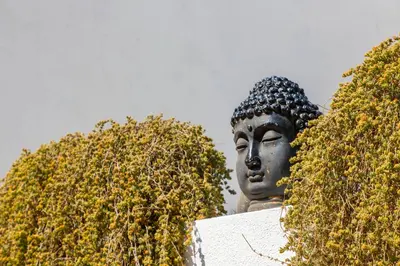 Giardino di Casa Rifa