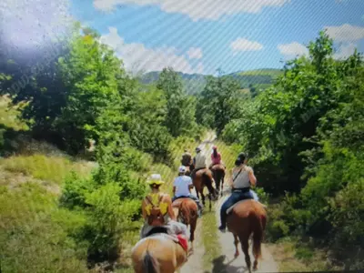 Ospiti di Oasi del benessere