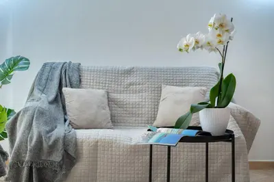 Area soggiorno di IzzHome Everyway