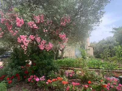 Giardino di Resort Natura & Relax